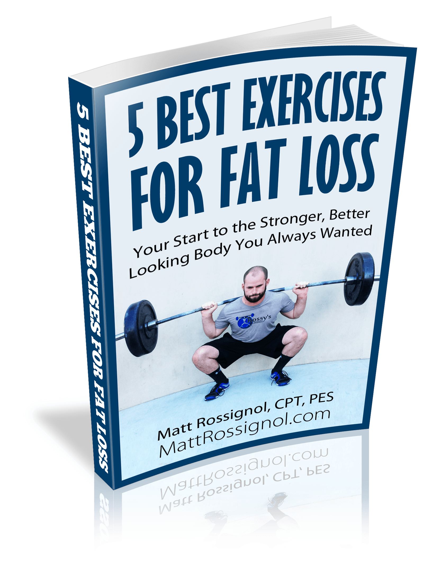 Fat Loss Ebook Cover 3d